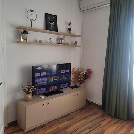 B8 - Spacious, Charming Apartment In Central Sibiu Luaran gambar