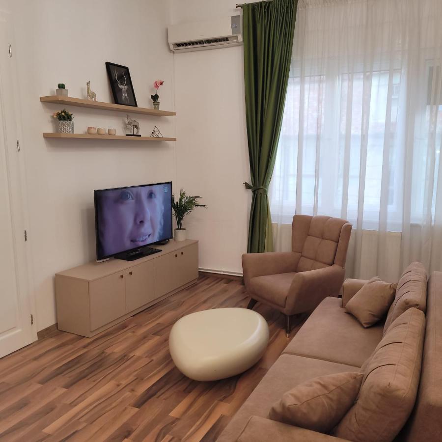 B8 - Spacious, Charming Apartment In Central Sibiu Luaran gambar