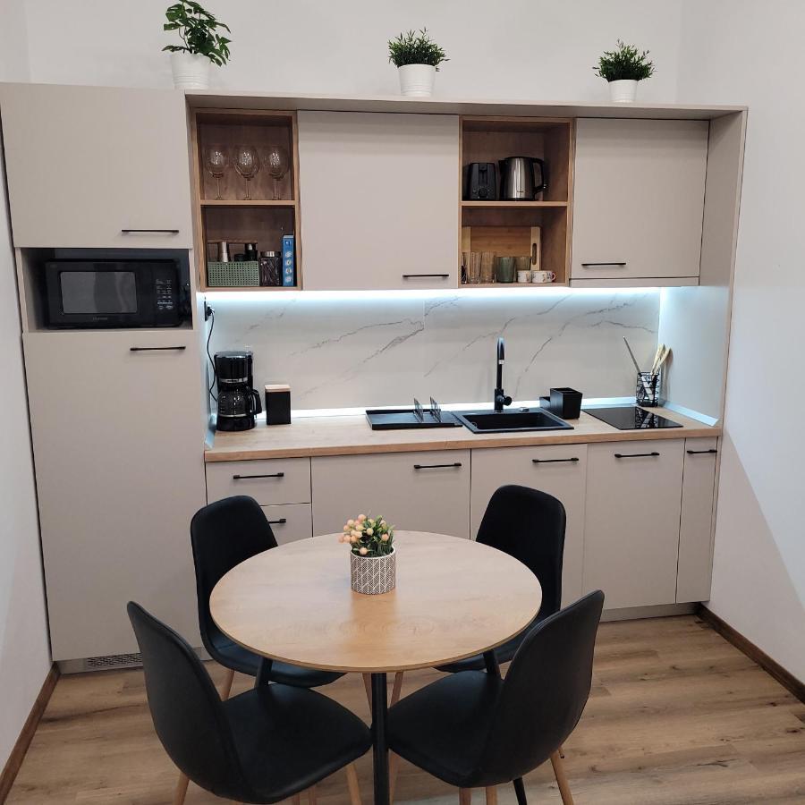 B8 - Spacious, Charming Apartment In Central Sibiu Luaran gambar