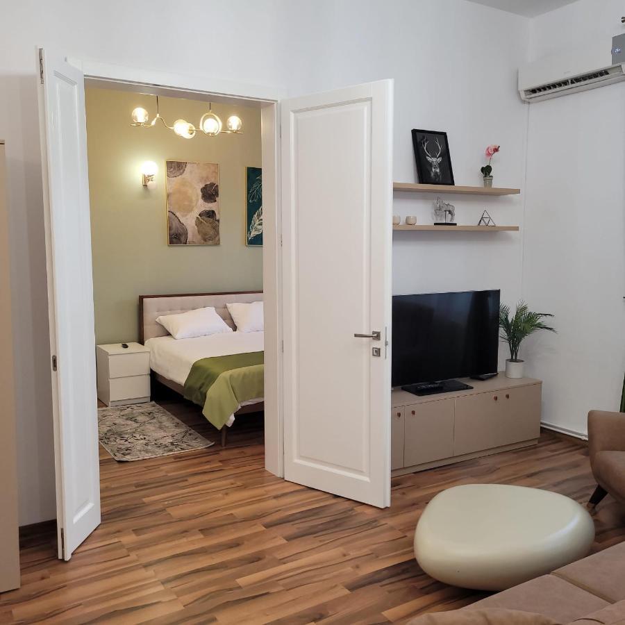 B8 - Spacious, Charming Apartment In Central Sibiu Luaran gambar