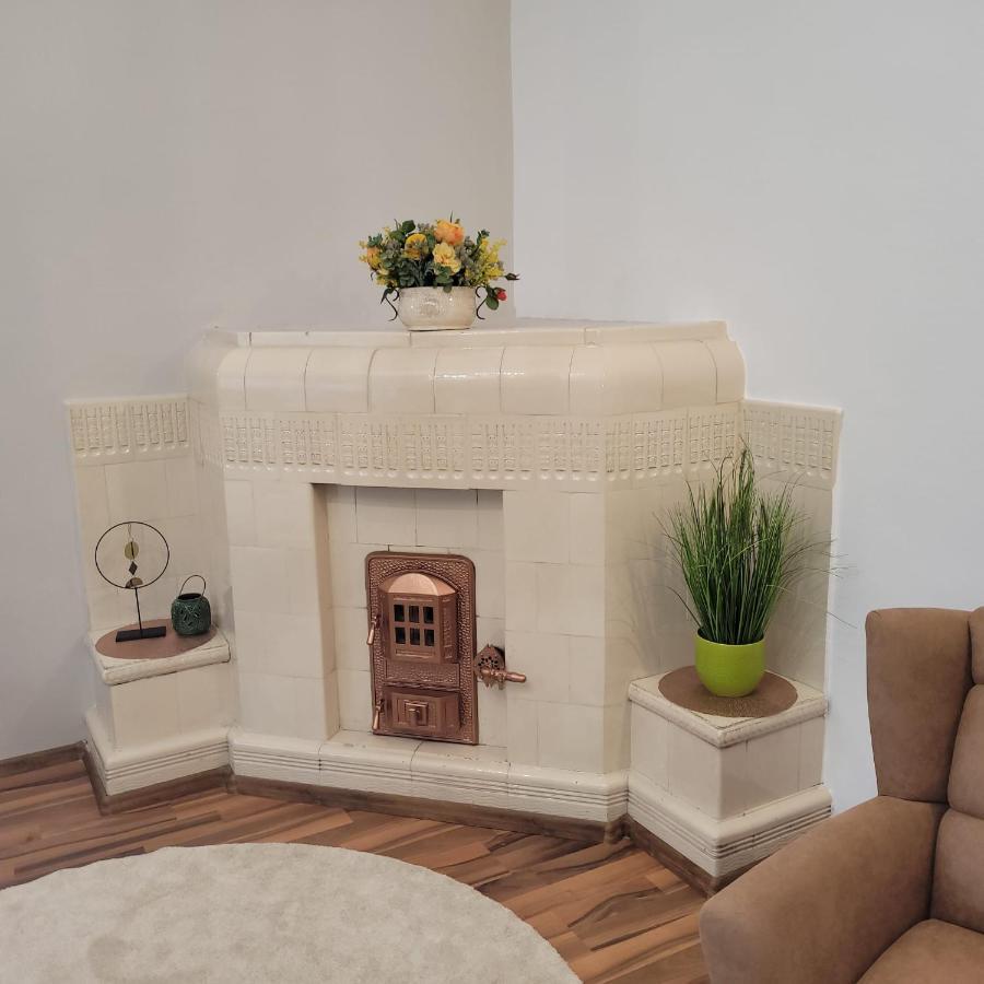 B8 - Spacious, Charming Apartment In Central Sibiu Luaran gambar