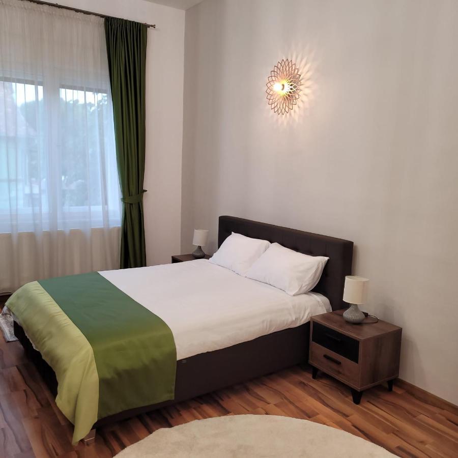 B8 - Spacious, Charming Apartment In Central Sibiu Luaran gambar
